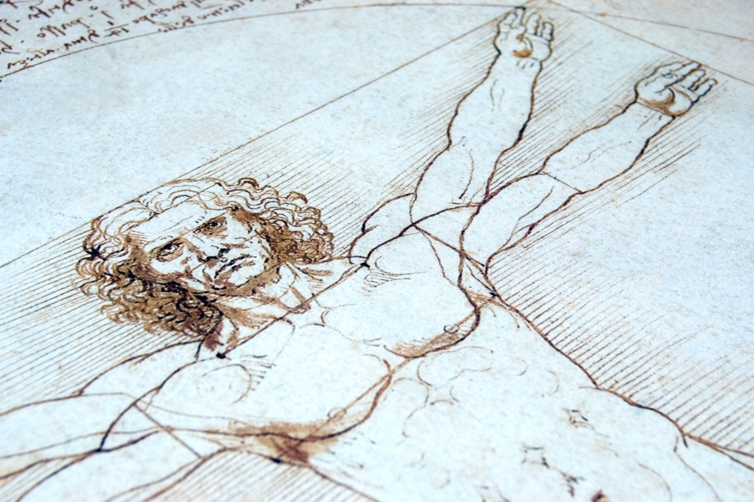 Леонардо да Винчи Витрувианский человек